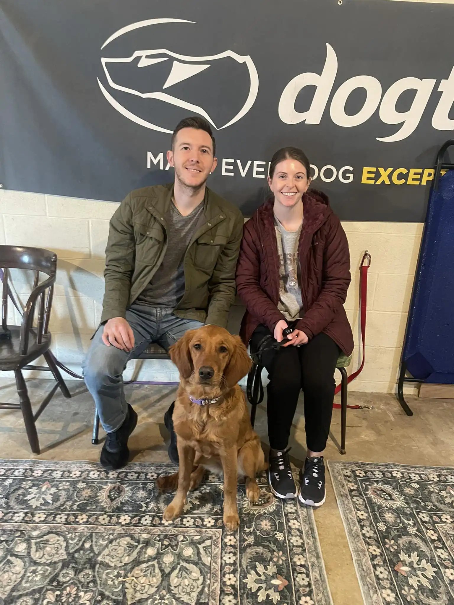 Dog Training Consultation 1